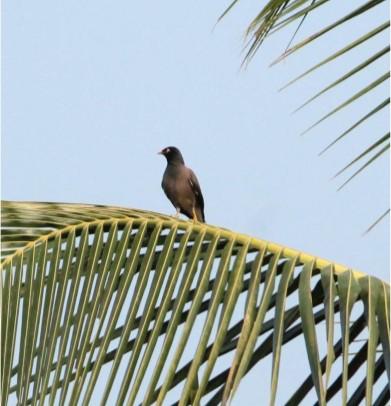 Biodiversity