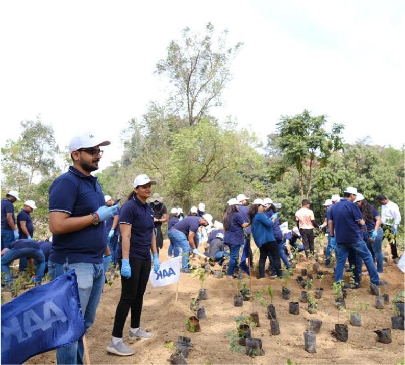 Planted 13,000 native trees